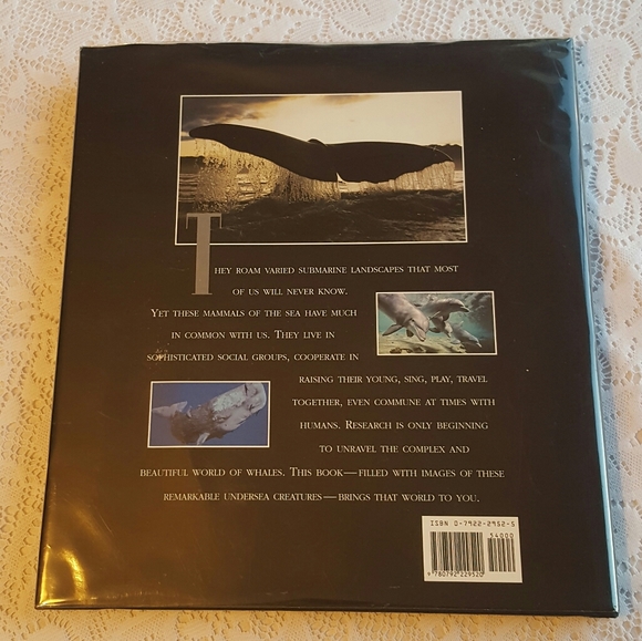 *SOLD* WHALES DOLPHINS AND PORPOISES 1995 HARDCOVER - Picture 2 of 9